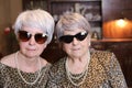 Senior sisters with matching leopard outfits Royalty Free Stock Photo