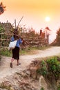 A senior vietnamese woman carrying a bundle of firewood while walking on a country pathway at dusk Royalty Free Stock Photo