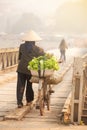 Senior Vietnamese woman walks with bicycle crossing a bridge Royalty Free Stock Photo