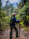 Senior in rainforest hiking at Mount Roland, Tasmania l day Royalty Free Stock Photo