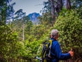 Senior in rainforest hiking at Mount Roland, Tasmania Royalty Free Stock Photo