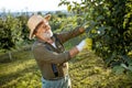Senior man in the apple orchard Royalty Free Stock Photo