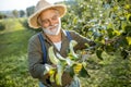 Senior man in the apple orchard Royalty Free Stock Photo