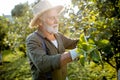 Senior man in the apple orchard Royalty Free Stock Photo