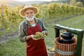 Senior winemaker with grapes near the winepress machine outdoors Royalty Free Stock Photo
