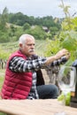 Senior winemaker in vineyard before harvest