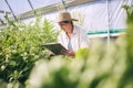 Senior woman, agriculture and greenhouse with clipboard, inspection of harvest and vegetable farming. Farmer, check