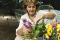 Senior woman arranging some flowers Royalty Free Stock Photo