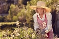 Senior woman attending to her rocket herb plants in garden