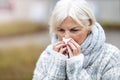 Senior woman blowing her nose Royalty Free Stock Photo