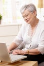 Senior woman browsing internet Royalty Free Stock Photo