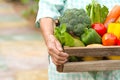 Senior woman carry fresh product of homemade vegetable ready to delivery