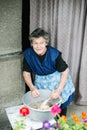 Senior woman cleaning and washing freshly slaughtered chicken. Royalty Free Stock Photo