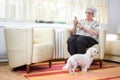 Senior woman dialing number on telephone while sitting on armchair in company with small dog at home Royalty Free Stock Photo