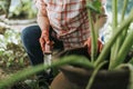 Senior woman digging in her garden