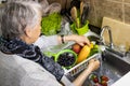 Senior woman disinfecting fruits and vegetables purchased during the COVID-19 pandemic