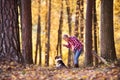 Senior woman with dog on a walk in an autumn forest. Royalty Free Stock Photo