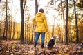 Senior woman with dog on a walk in an autumn forest. Royalty Free Stock Photo