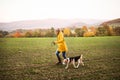 Senior woman with dog on a walk in an autumn nature. Royalty Free Stock Photo