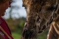 Senior Woman enjoys a close encounter with a giraffe