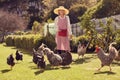 Senior woman farmer with chickens on her urban farm