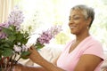Senior Woman Flower Arranging At Home Royalty Free Stock Photo