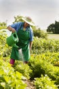 Senior woman in garden Royalty Free Stock Photo