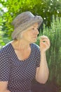 Senior woman garden smelling aroma Royalty Free Stock Photo