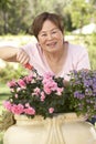 Senior Woman Gardening Royalty Free Stock Photo