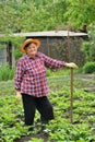 Senior woman gardening Royalty Free Stock Photo