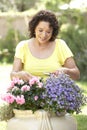 Senior Woman Gardening Royalty Free Stock Photo