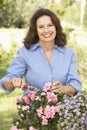 Senior Woman Gardening Royalty Free Stock Photo