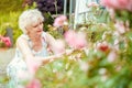 Senior woman gardening cutting her roses