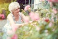 Senior woman gardening cutting her roses