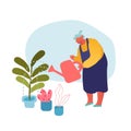 Senior Woman Gardening Hobby. Aged Grey Haired Female Character in Apron Caring of Home Plants in Pots Royalty Free Stock Photo