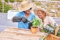 Senior woman, gardening and nurse help in home patio with support, care and plant. Healthcare, retirement and nursing Royalty Free Stock Photo