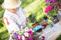 Senior woman gardening Royalty Free Stock Photo