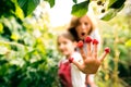 Senior woman with grandaughter gardening in the backyard garden. Royalty Free Stock Photo