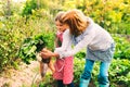 Senior woman with grandaughter gardening in the backyard garden. Royalty Free Stock Photo