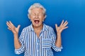 Senior woman with grey hair standing over blue background celebrating mad and crazy for success with arms raised and closed eyes Royalty Free Stock Photo