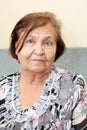 Senior woman head and shoulders indoors portrait, calm Caucasian person looking at camera