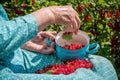 Senior woman in her garden and homegrown redcurrants