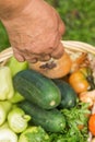 Senior woman holding a basket with vegetables