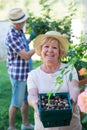 Senior woman holding crate of snail in garden Royalty Free Stock Photo