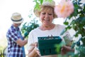 Senior woman holding crate of snail in garden Royalty Free Stock Photo