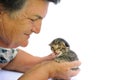 Senior woman holding kitten Royalty Free Stock Photo