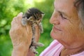 Senior woman holding little kitten Royalty Free Stock Photo