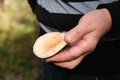 Senior woman holding Saffron milk cap Lactarius deliciosus mushroom. Saffron milk cap , red pine mushrooms, Lactarius