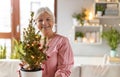 Senior woman holding small potted Christmas tree
