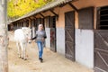 Senior woman horse breeder leading white horse through horse barn Royalty Free Stock Photo